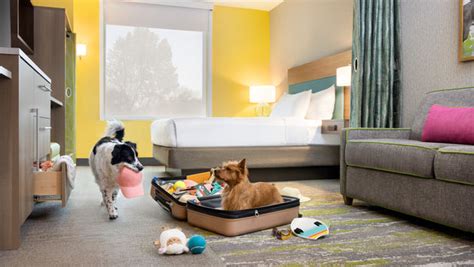 pet friendly hilton|Iba pa.